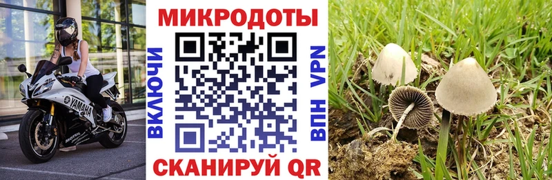 Псилоцибиновые грибы прущие грибы  гидра ССЫЛКА  Рошаль 